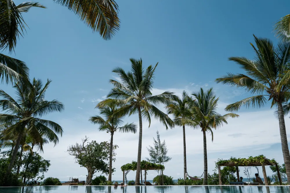 Beach with palm trees